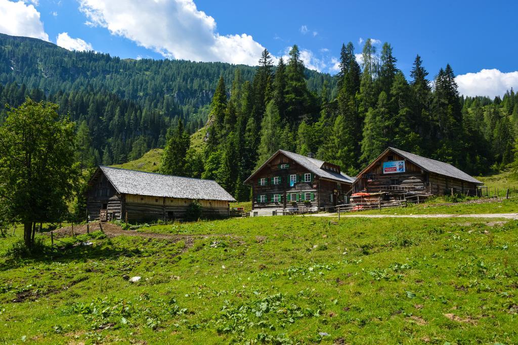 Schmiedlehenalm Appartement Obertauern Buitenkant foto